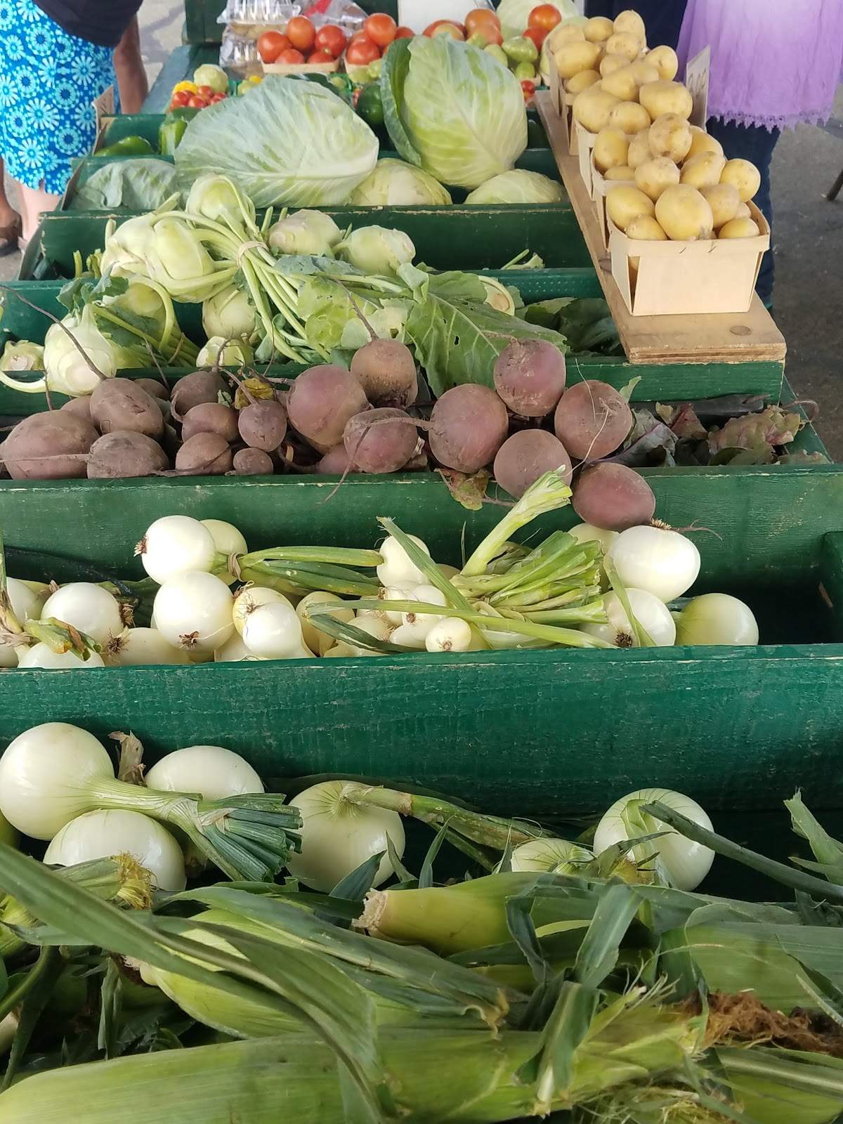 Saturday Hartford Farmer's Market — photo 1