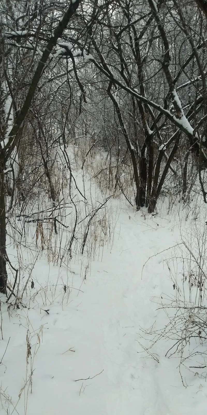 West Side Park — photo 5
