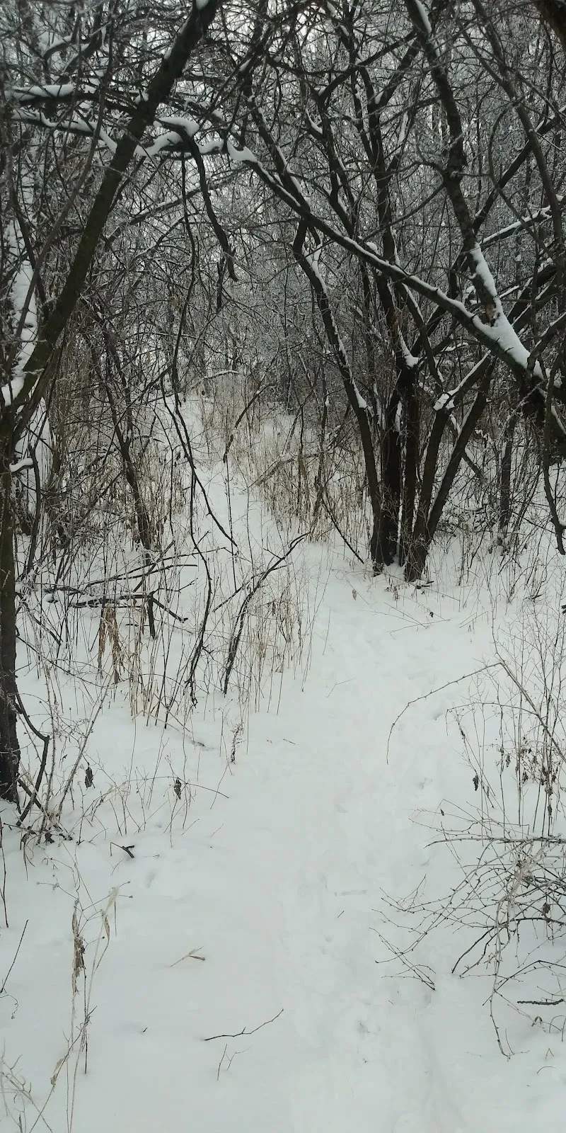 West Side Park — photo 5